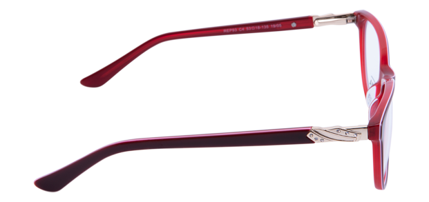 rep93 c4 1