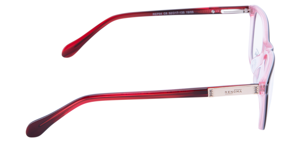 rep94 c6 1