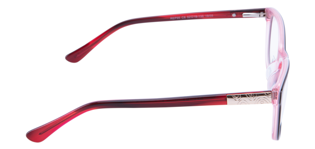 rep95 c6 1