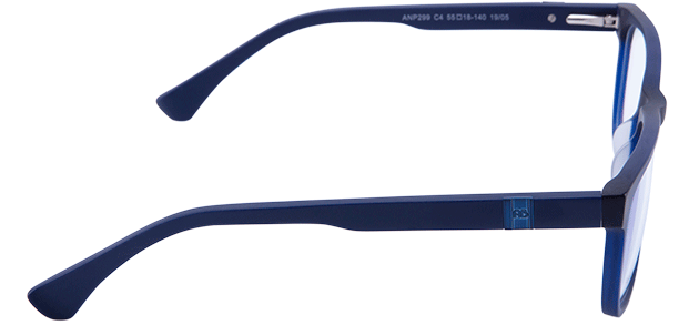 anp299 c4 1