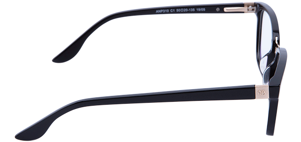 anp310 c1 1