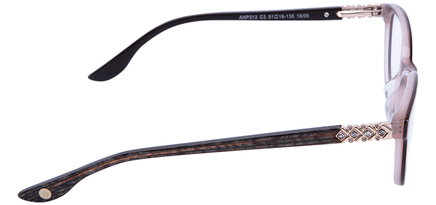 anp313 c3 1